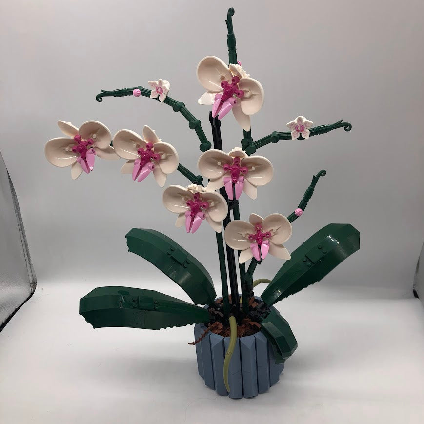 10311 Orchid Botanical sold Collection