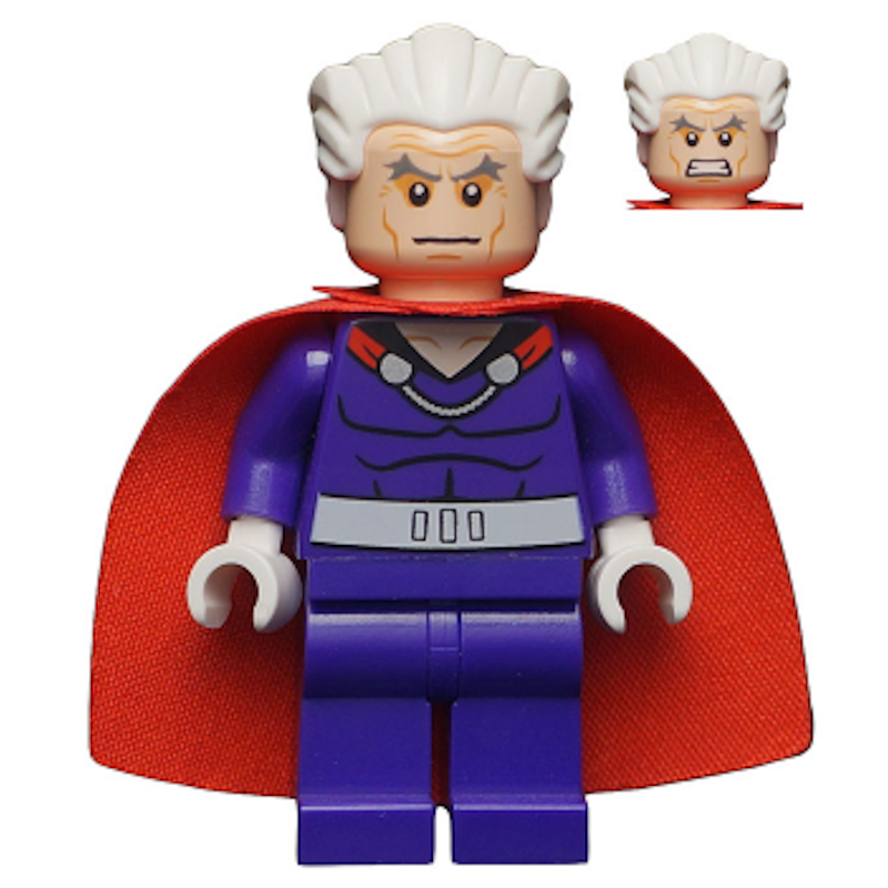 Magneto LEGO Marvel Super Heroes Minifigure Bricks Minifigs Eugene