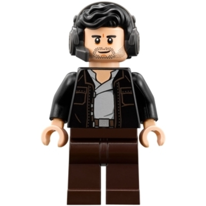 Captain Poe Dameron LEGO Star Wars Minifigure Bricks Minifigs Eugene