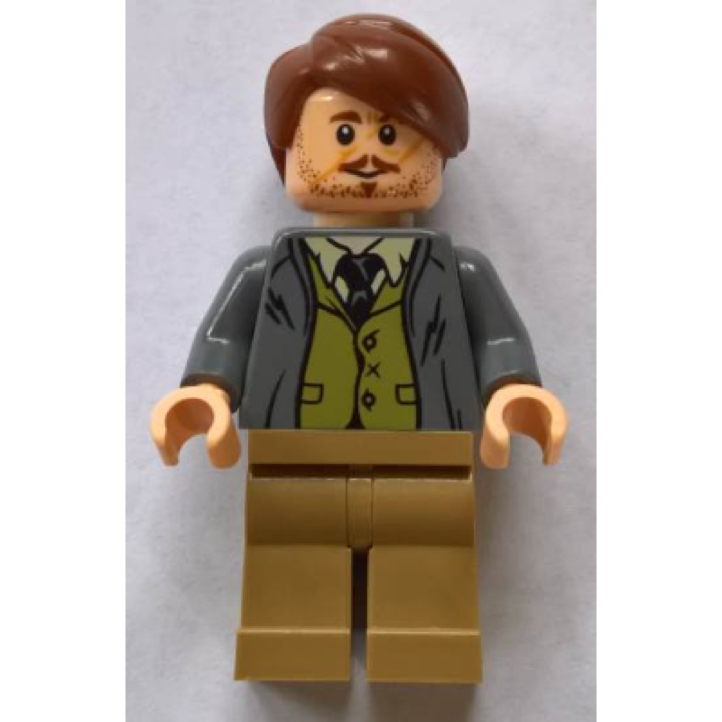 Professor Remus Lupin LEGO Harry Potter Minifigure Bricks Minifigs Eugene