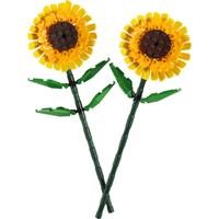 40524 Sunflowers