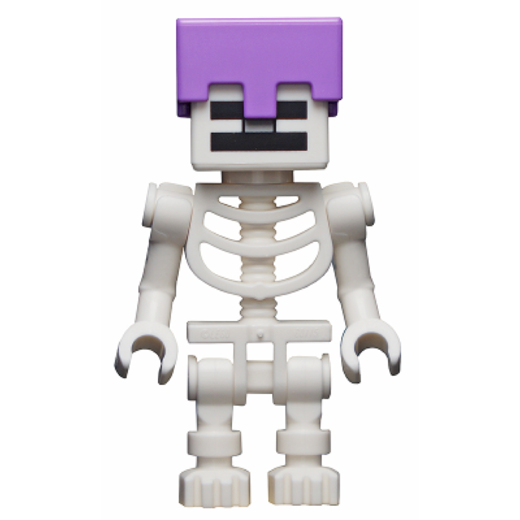 Skeleton LEGO Minecraft Minifigure Bricks Minifigs Eugene