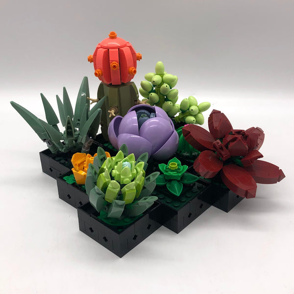 Succulents 10309