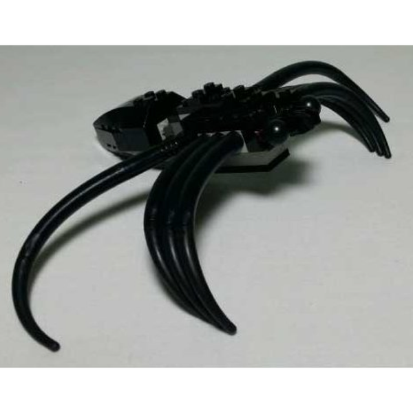 Spider, Harry Potter