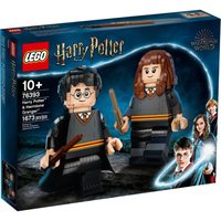 76393 Harry Potter & Hermione Granger [CERTIFIED USED]