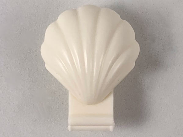 Clam