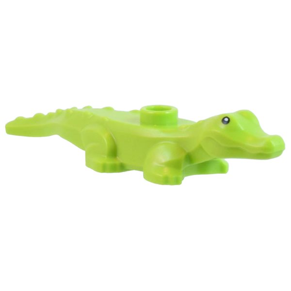 Alligator / Crocodile Baby Hatchling