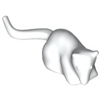 Rat