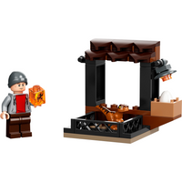 30390 Dinosaur Market Polybag