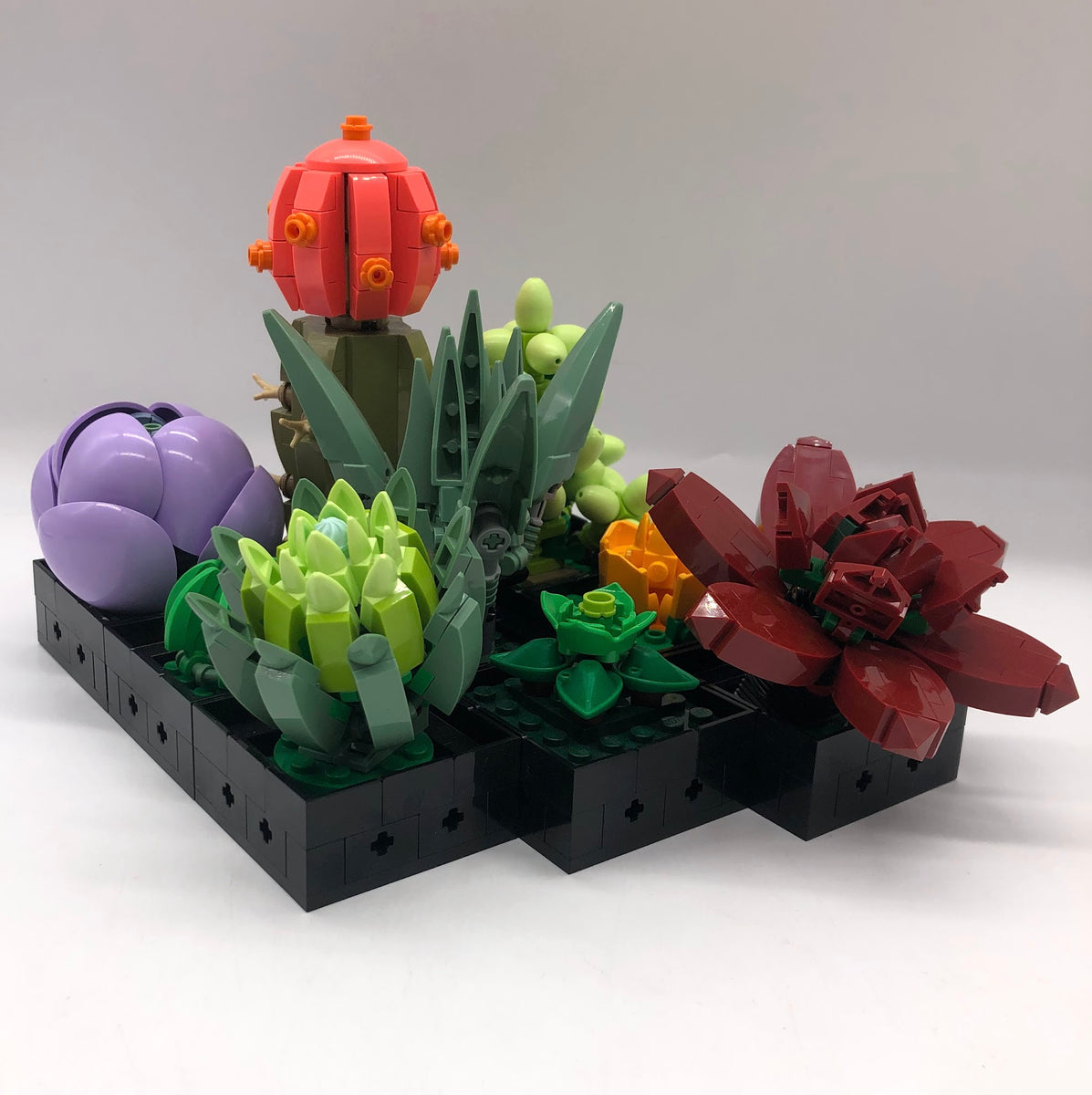 craigslist lego succulent set Succulents 10309
