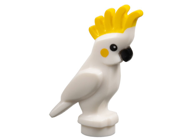 Cockatoo