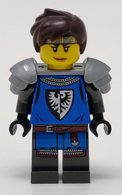 Black Falcon Knight