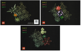 10309 Succulents - Certified Used, 100% Complete LEGO Botanicals Set