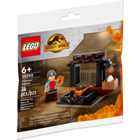 30390 Dinosaur Market Polybag