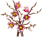 11510 Magnolia Branches - New LEGO Botanical Collection Set