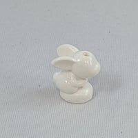 Bunny/Rabbit