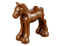 Foal