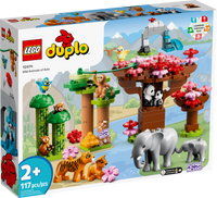 10974 Wild Animals of Asia
