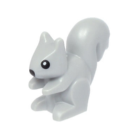 Squirrel