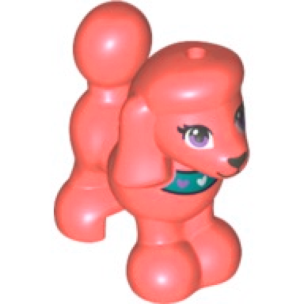 Dog, Poodle