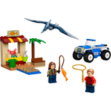 76943 Pteranodon Chase