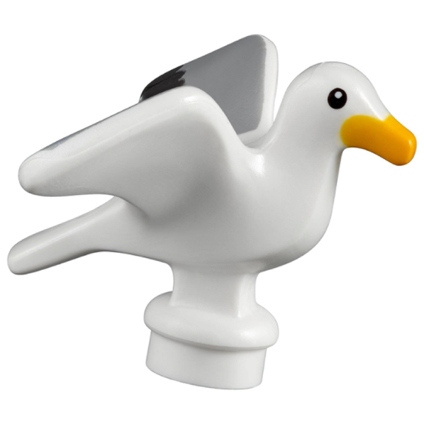 Bird, Seagull