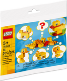 30503 ReBuild the World Polybag