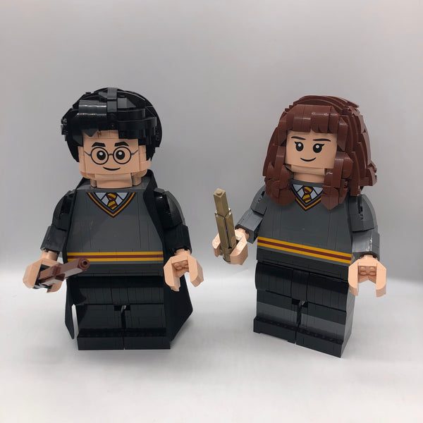 76393 Harry Potter & Hermione Granger [Used, Retired]