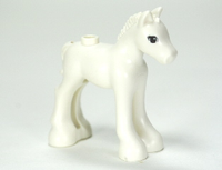 Foal