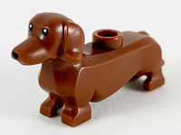 Dog, Dachshund