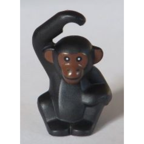 Chimpanzee