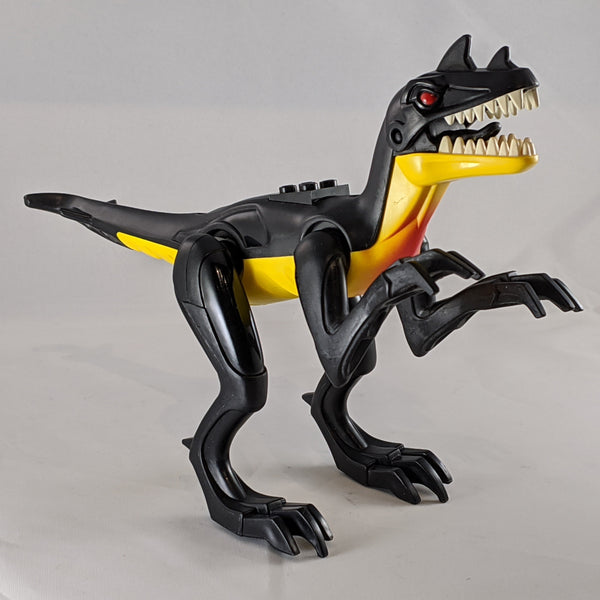 Raptor - LEGO® Animal – Bricks & Minifigs Eugene