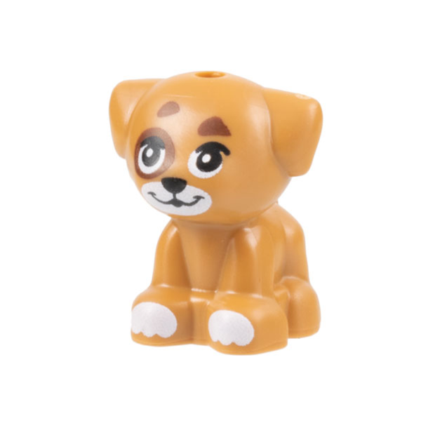 Dog, Puppy