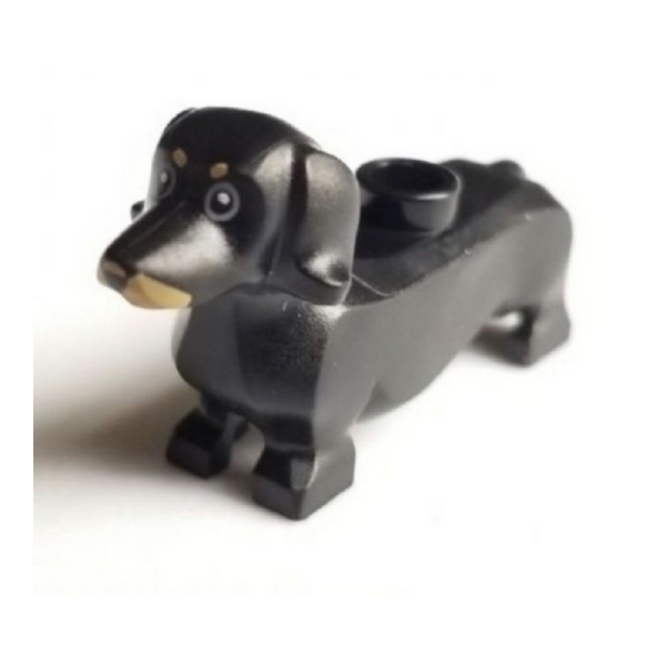 Dog, Dachshund