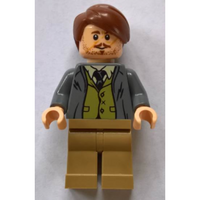 Professor Remus Lupin