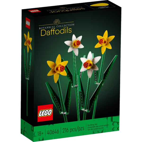 40646 Daffodils