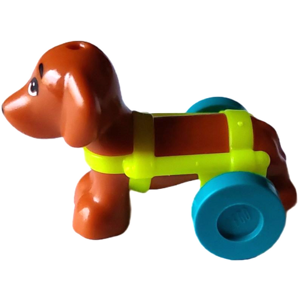 Dog, Dachshund