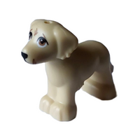 Dog, Puppy