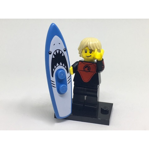 Series 17 - Professional Surfer