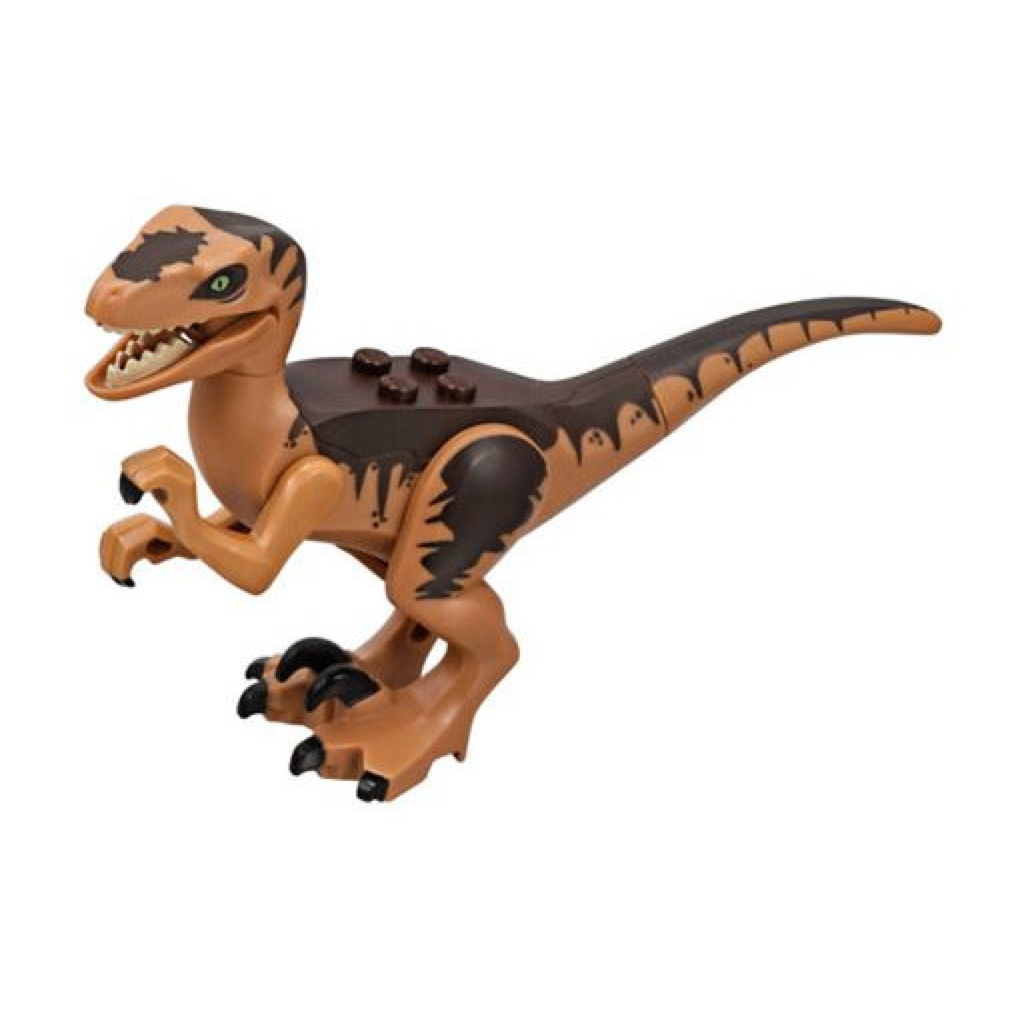 Raptor – Bricks & Minifigs Eugene