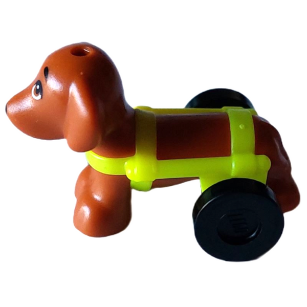 Dog, Dachshund