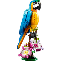 31136 Exotic Parrot