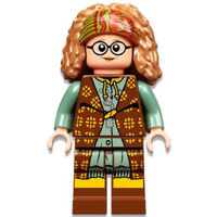 Professor Sybill Trelawney