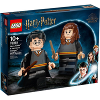 76393 Harry Potter & Hermione Granger [New, Sealed, Retired]