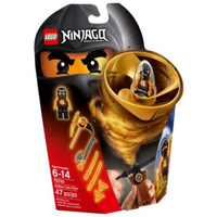 70637 Cole - Spinjitzu Master