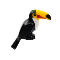 Bird, Toucan