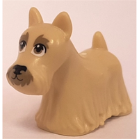 Dog, Scottie