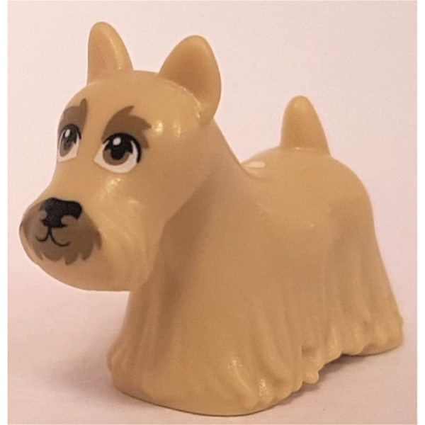 Dog, Scottie