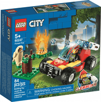 60247 Forest Fire