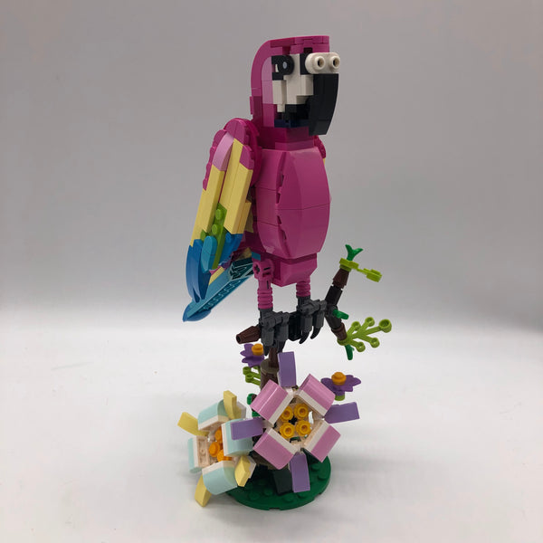 31144 Exotic Pink Parrot [USED]